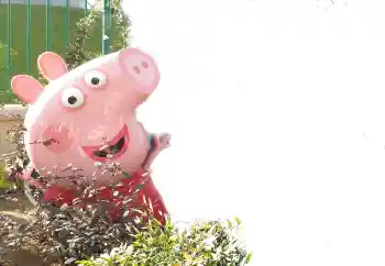 Foto-effetti della categoria Varie da bambini № 101439