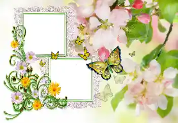 Scrittura sulla cornice: Congratulazioni!