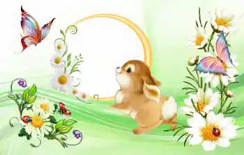 Foto-effetti della categoria Varie da bambini № 117348