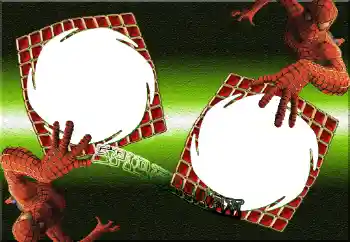 Scrittura sulla cornice: Spiderman