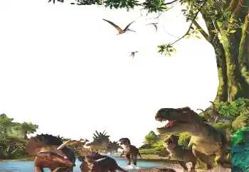 Foto-effetti della categoria Varie da bambini № 153254