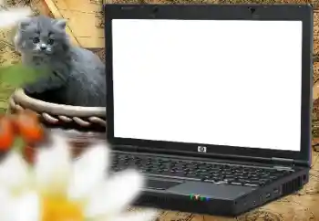 Foto-effetti della categoria Varie da bambini № 157214 Foto-effetti della categoria Varie da bambini № 157214