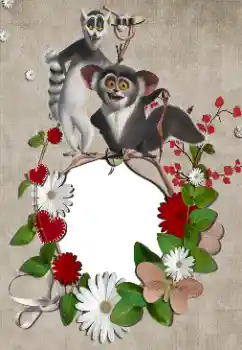 Foto-effetti della categoria Varie da bambini № 39285