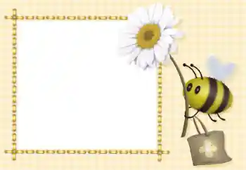 Foto-effetti della categoria Varie da bambini № 93368