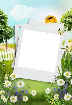 Foto-effetti della categoria Campagna e villeggiatura № 163561