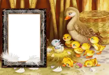 Foto-effetti della categoria Campagna e villeggiatura № 166682