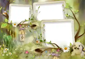 Foto-effetti della categoria Emozioni dei bambini № 105460