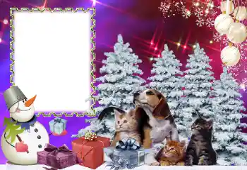 Foto-effetti della categoria Feste per bambini № 178291 Foto-effetti della categoria Feste per bambini № 178291
