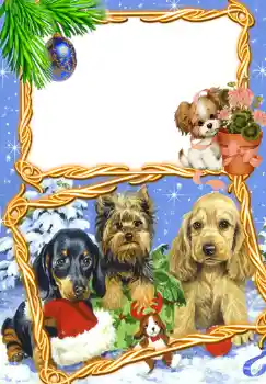 Foto-effetti della categoria Feste per bambini № 369