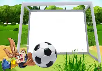 Foto-effetti della categoria Sapere e saper fare tutto № 133181