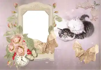 Foto-effetti della categoria Bagni, pasti, sonno № 153184