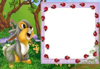 Foto-effetti della categoria Nella natura № 112656 Foto-effetti della categoria Nella natura № 112656