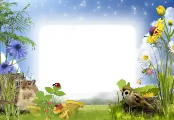 Foto-effetti della categoria Nella natura № 141000 Foto-effetti della categoria Nella natura № 141000