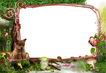 Foto-effetti della categoria Nella natura № 142331 Foto-effetti della categoria Nella natura № 142331