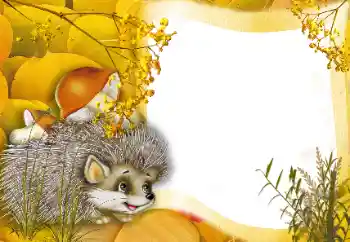 Foto-effetti della categoria Nella natura № 166562