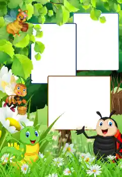 Foto-effetti della categoria Nella natura № 180793