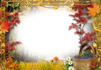 Foto-effetti della categoria Nella natura № 192842 Foto-effetti della categoria Nella natura № 192842