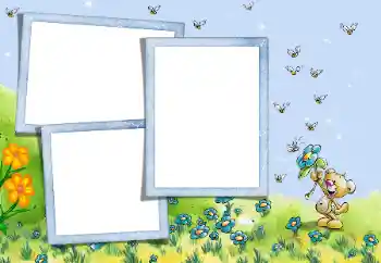 Foto-effetti della categoria Nella natura № 45680