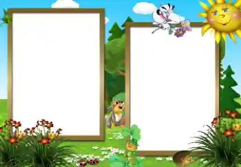 Foto-effetti della categoria Nella natura № 45916