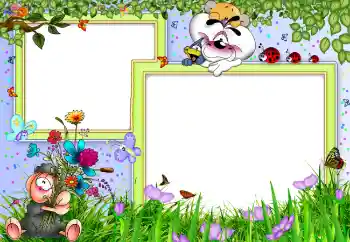 Foto-effetti della categoria Nella natura № 6557