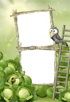 Foto-effetti della categoria Primo anno № 140978 Foto-effetti della categoria Primo anno № 140978