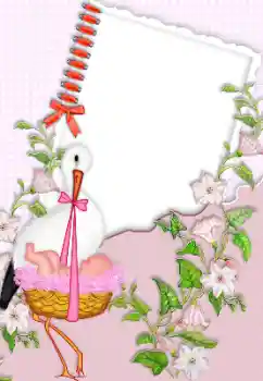 Foto-effetti della categoria Primo anno № 150384 Foto-effetti della categoria Primo anno № 150384