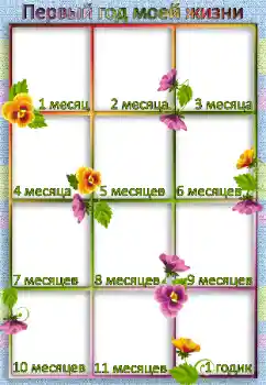 Scrittura sulla cornice: 1 anno