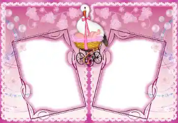 Foto-effetti della categoria Primo anno № 192937