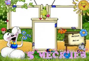 Scrittura sulla cornice: 5 MESE