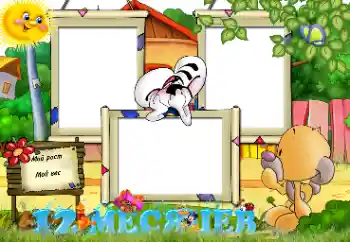 Scrittura sulla cornice: 12 MESE