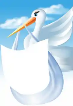 Foto-effetti della categoria Primo anno № 4591