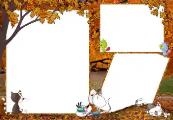 Foto-effetti della categoria Passeggiata № 192841 Foto-effetti della categoria Passeggiata № 192841