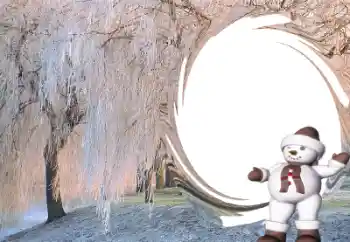 Foto-effetti della categoria Divertimenti invernali № 34077