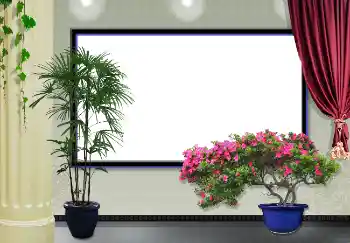 Foto-effetti della categoria Cartelloni, murali, manifesti № 3434