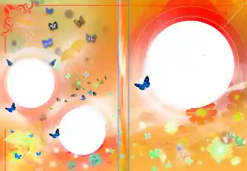 Foto-effetti della categoria Copertine DVD № 145141