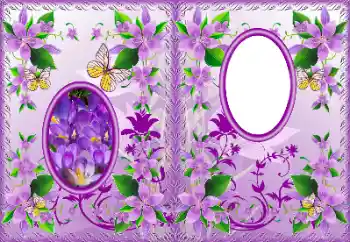 Foto-effetti della categoria Copertine DVD № 183322 Foto-effetti della categoria Copertine DVD № 183322