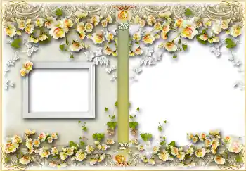 Scrittura sulla cornice: Festa di Compleanno