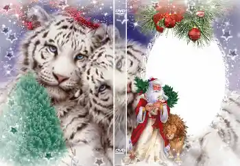 Scrittura sulla cornice: Capodanno