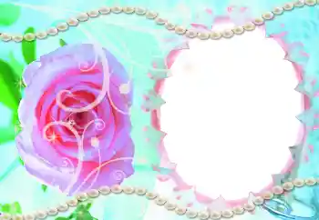 Foto-effetti della categoria Inviti № 9861. Scrittura sulla cornice: Invito al matrimonio