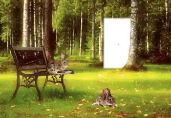 Scrittura sulla cornice: 2026