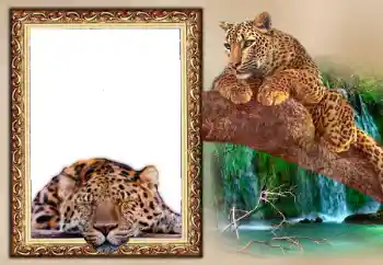 Scrittura sulla cornice: 2026