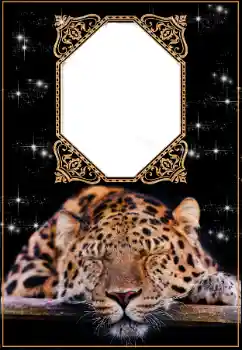 Scrittura sulla cornice: 2026