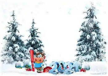 Scrittura sulla cornice: 2026