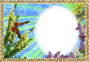 Scrittura sulla cornice: 2026 Scrittura sulla cornice: 2026