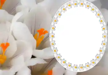 Scrittura sulla cornice: 2026 Scrittura sulla cornice: 2026