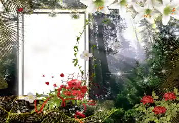 Scrittura sulla cornice: 2026 Scrittura sulla cornice: 2026