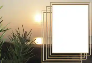 Scrittura sulla cornice: 2026 Scrittura sulla cornice: 2026