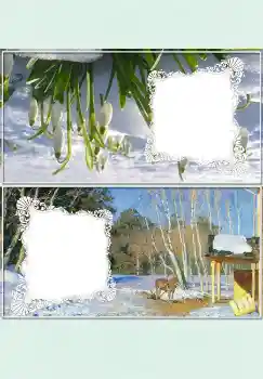 Foto-effetti della categoria Da tavolo № 4524