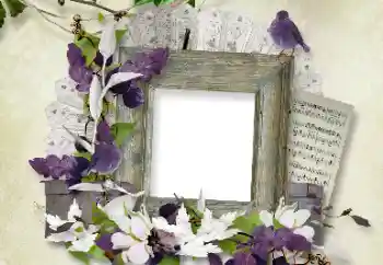 Foto-effetti della categoria Vari № 100112