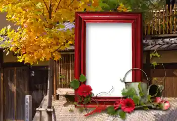 Foto-effetti della categoria Vari № 100114